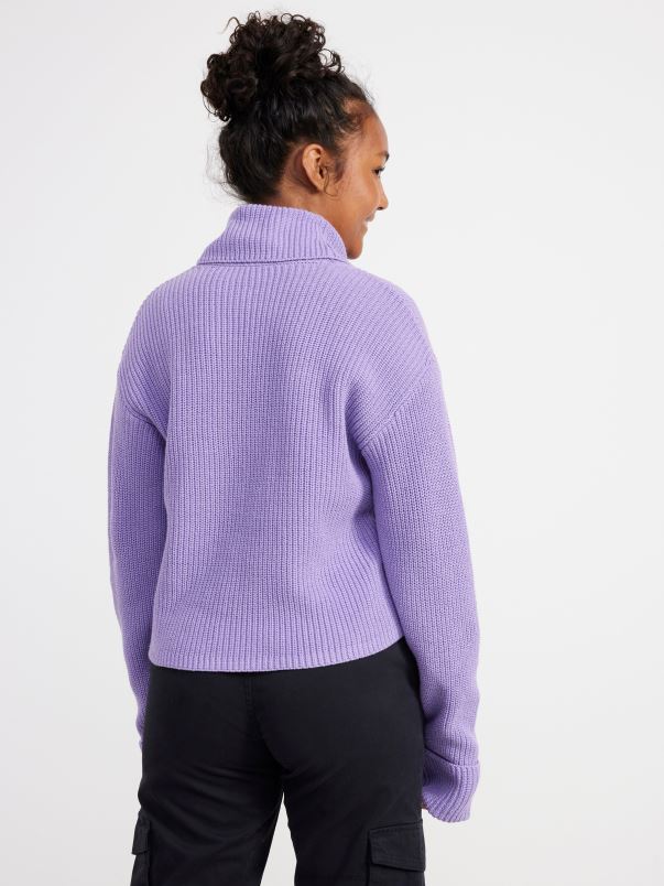 îmbrăcăminte VHZ2F3398 jumper cu gât rulat din coastă copii liliac praf deschis Lindex